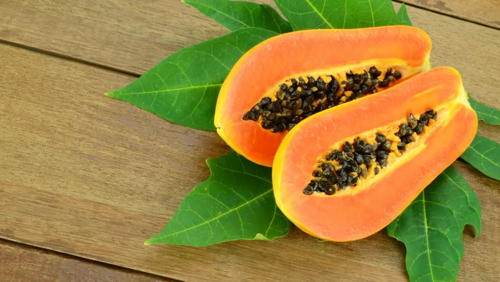 Innovative Papain Gel for Anesthesia-Free Caries Removal